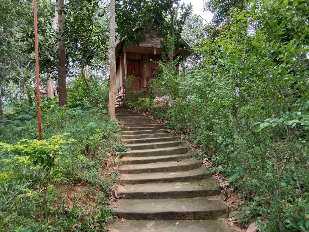 Jungle Cottage Сримангал Экстерьер фото