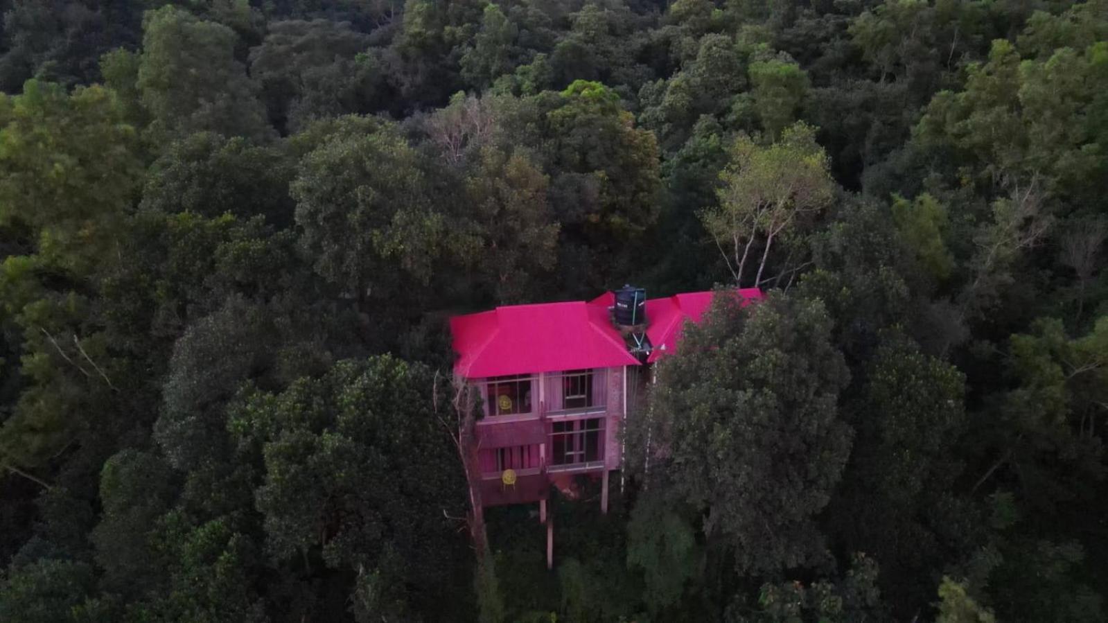 Jungle Cottage Сримангал Номер фото