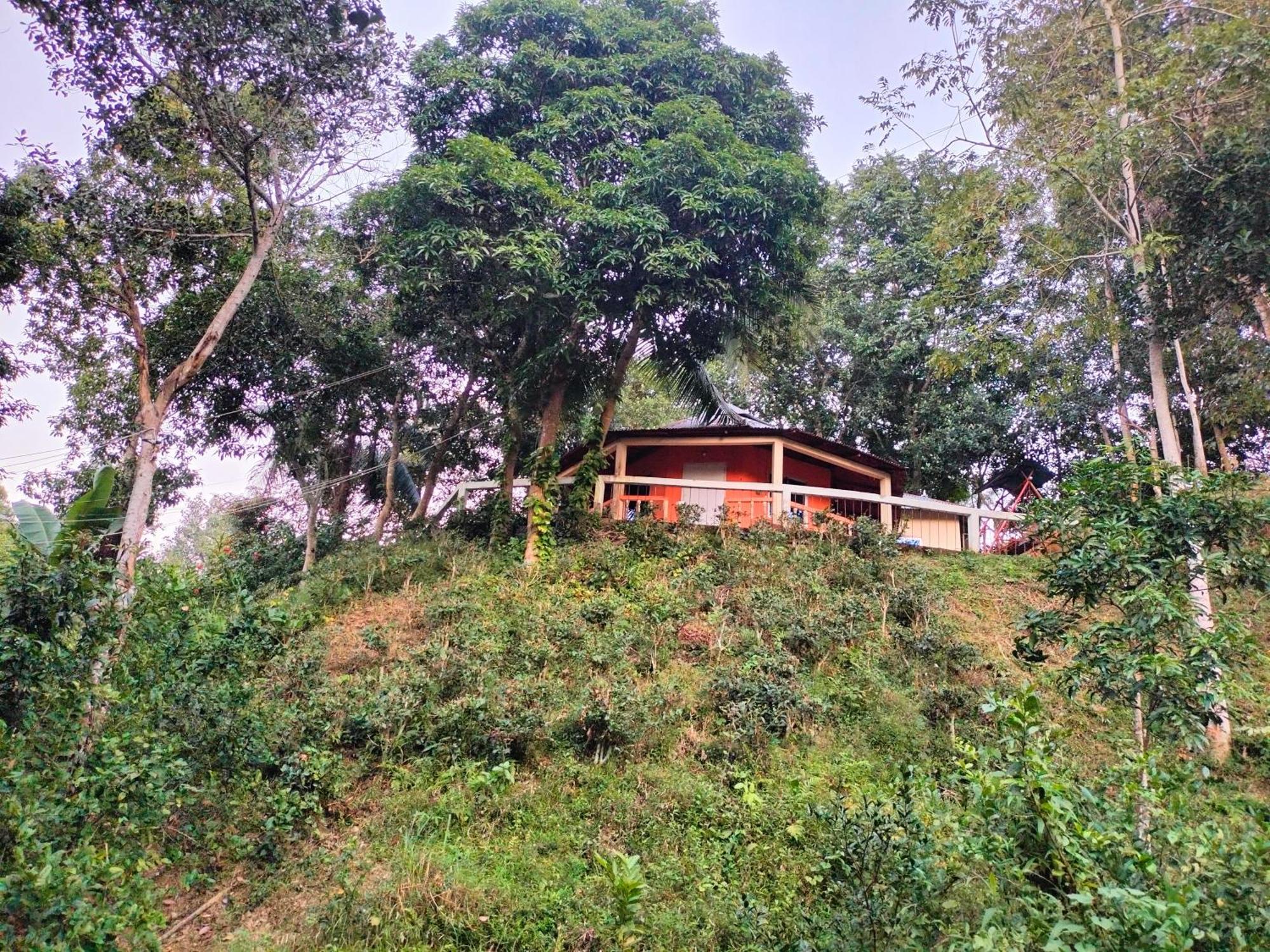 Jungle Cottage Сримангал Номер фото